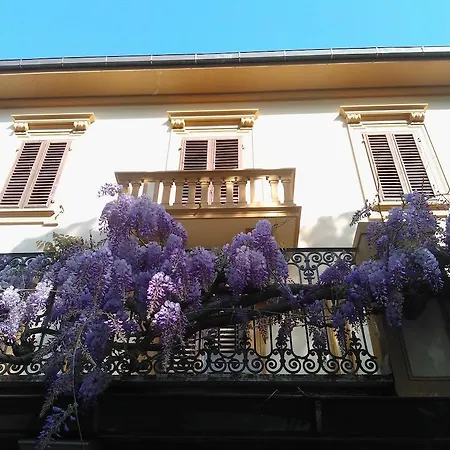 Violetta Appartement *