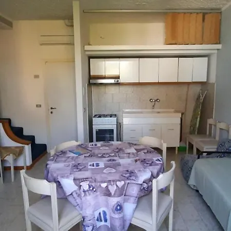 Violetta 卡斯蒂利翁切洛