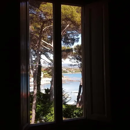 Violetta Appartement Castiglioncello