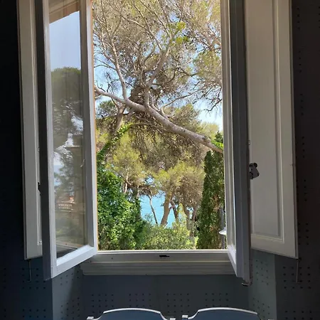 Appartement Violetta