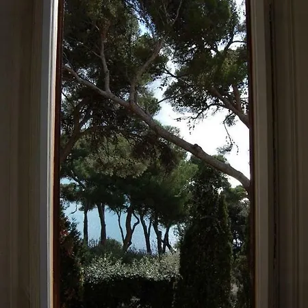Violetta Appartement *